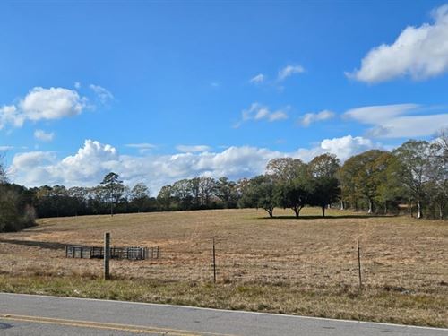 12.5 Acres, Walthall County, MS : Tylertown : Walthall County : Mississippi