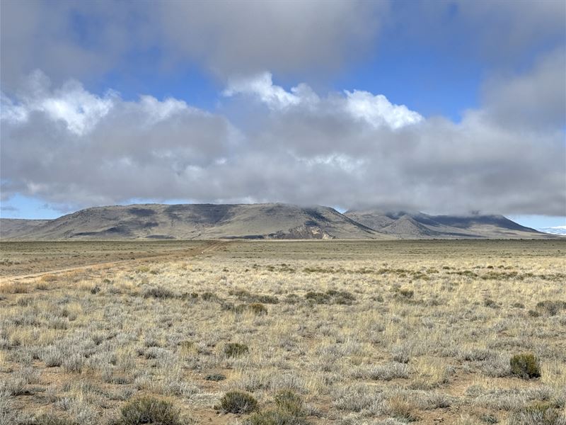 3 Adjacent 15 Acres Colorado NO HOA : San Luis : Costilla County : Colorado