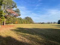 62 Acres Dallas Co AL : Selma : Dallas County : Alabama