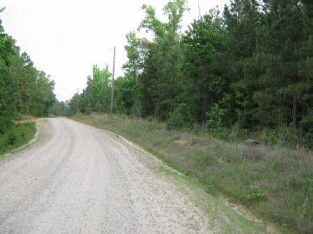 69 Acre Hunting / Recreation Tract : Blackstock : Fairfield County : South Carolina
