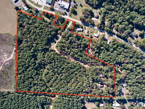 Your Private 25 Acre Alabama Escape : Jackson : Clarke County : Alabama