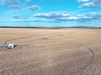 Elmo & Doyle Neiman Co Colo Auction : Holyoke : Phillips County : Colorado