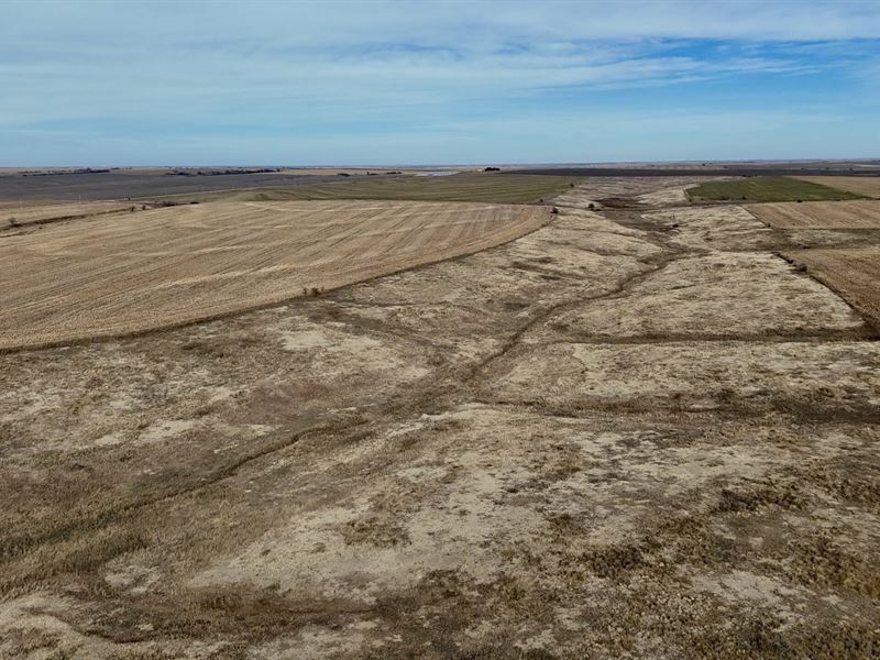 Brehmer Farms Quarter : Almena : Norton County : Kansas