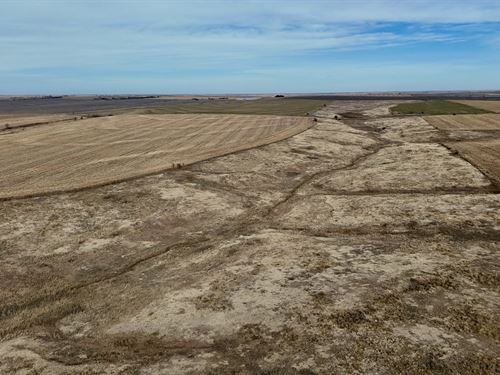 Brehmer Farms Quarter : Almena : Norton County : Kansas