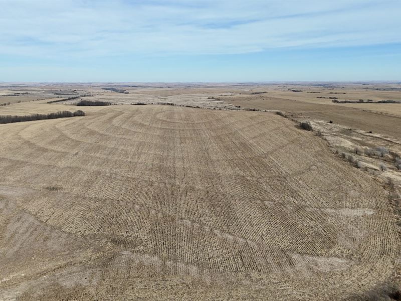 Brehmer Farms Half : Norton : Norton County : Kansas
