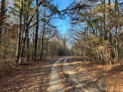 66 Acres in Yazoo County, MS : Yazoo City : Yazoo County : Mississippi