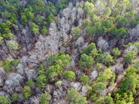 Turkey Pen Road Tract 2, 8.5 : Cragford : Clay County : Alabama