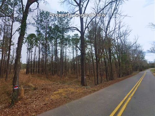 Dream Mobile Home Spot : Mathews : Montgomery County : Alabama