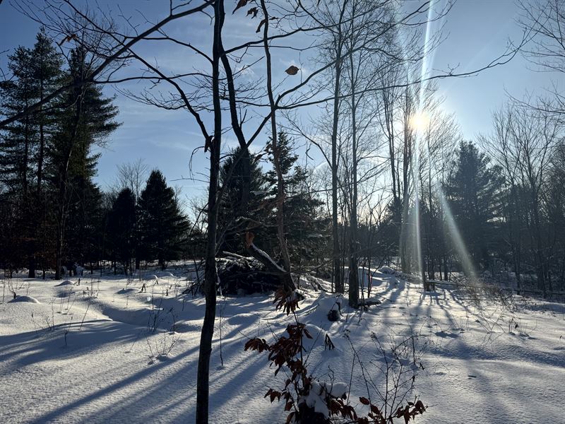 Tug Hill Home Spot : Camden : Oneida County : New York