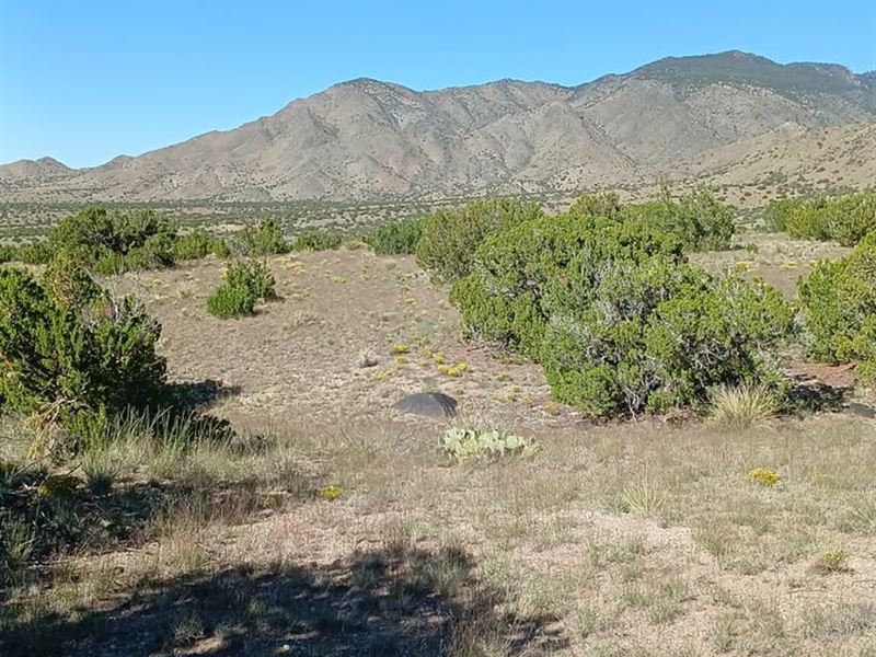 Off-Grid Ranch Land Near Manzano : Belen : Valencia County : New Mexico