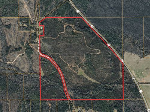 134 Hunting Tract in Perry Count : Marion : Perry County : Alabama