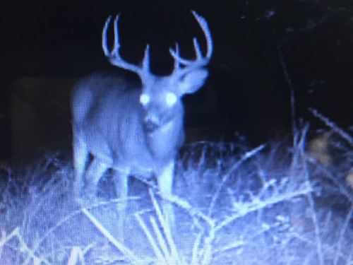 134 Hunting Tract in Perry Count : Marion : Perry County : Alabama