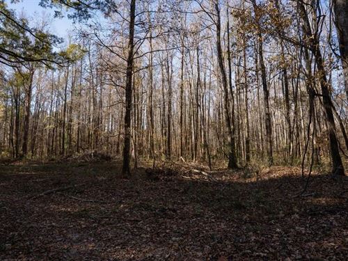 84.5 Acres in Woodville, MS on Hwy : Woodville : Wilkinson County : Mississippi