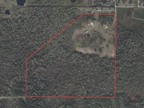 120 Acres Near New Turnpike Lake Co : Astatula : Lake County : Florida