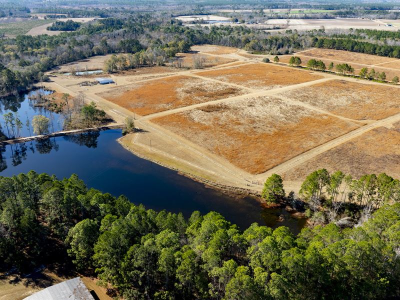 Worthington Farm : Claxton : Evans County : Georgia
