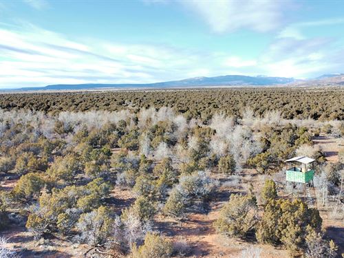 Uintah Foothills Ranch : Hayden : Uintah County : Utah