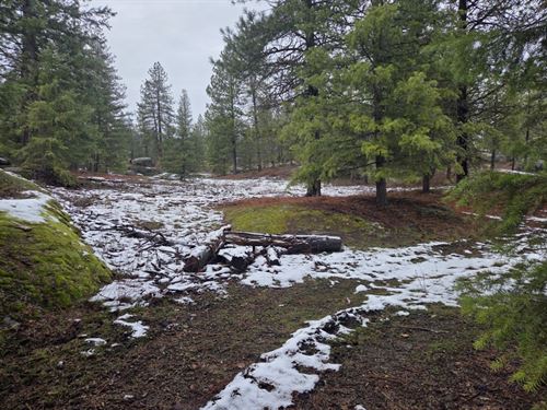 Slate on Wilderness : Newport : Pend Oreille County : Washington