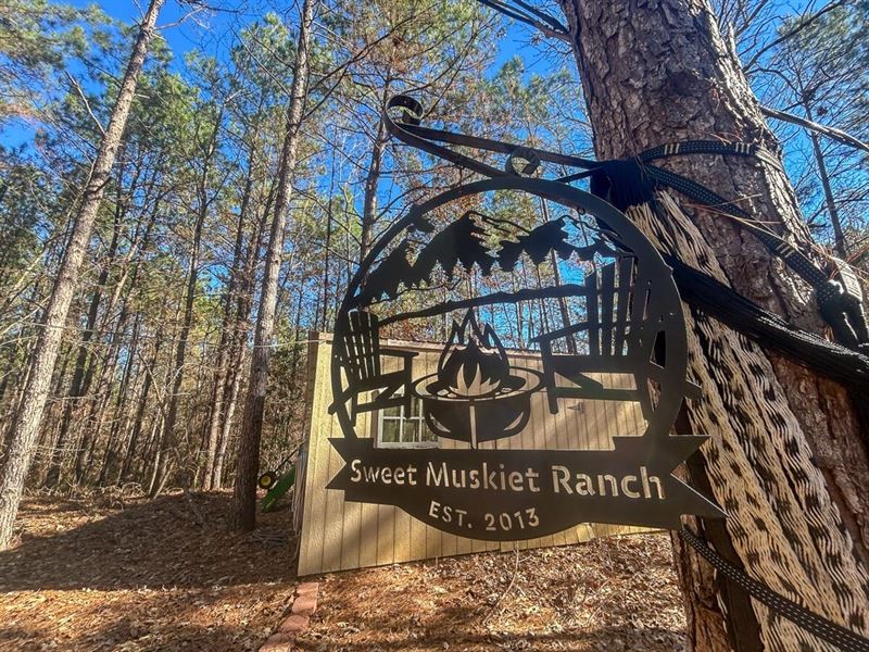 64 Acres, 3320 FM 3065 : Colmesneil : Tyler County : Texas