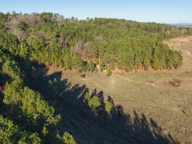 197.94 Acres in Howard County, AR : Nashville : Howard County : Arkansas