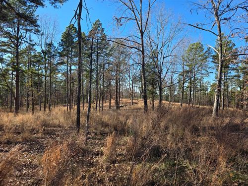 25 Acres in Izard County, AR : Oxford : Izard County : Arkansas