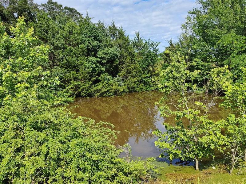 19.24 Acres in Webster County, MO : Marshfield : Webster County : Missouri