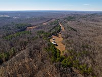 92 Acres, Tennessee Hunting Prope : Cedar Grove : Henderson County : Tennessee