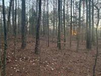 Acreage 6.29 Acre Wooded Homes : Bowdon : Carroll County : Georgia