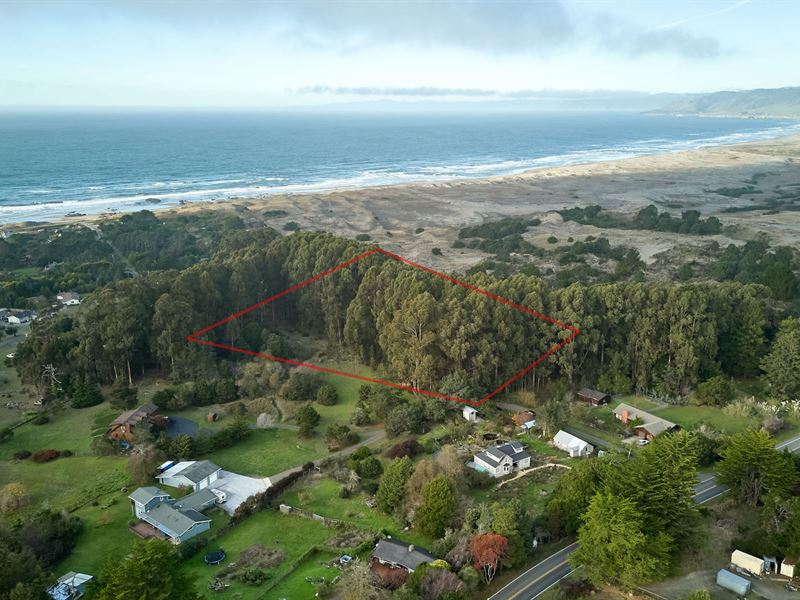 Rare 5 Acre Mendocino Retreat : Fort Bragg : Mendocino County : California