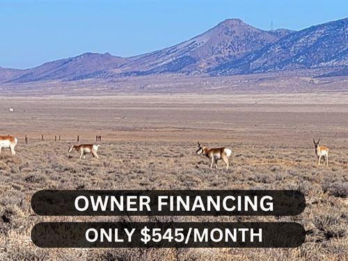 Your 40 Acre Dream in NV : Elko : Nevada