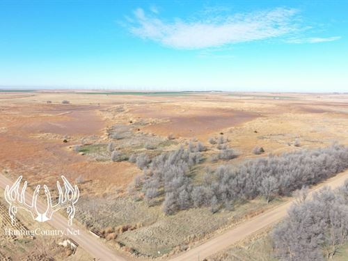 Kiowa County, Kansas 160 Acres M/L : Greensburg : Kiowa County : Kansas