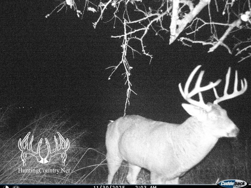 Ford County, Kansas 40 Acres M/L : Dodge City : Ford County : Kansas