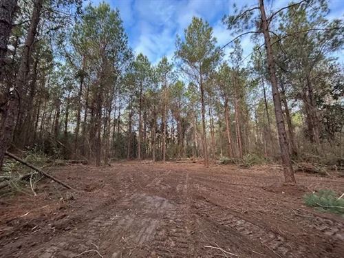 6 Acres Irene Rd, Magnolia, MS : Magnolia : Pike County : Mississippi