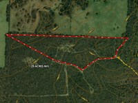Wooded Acreage for Sale in Missouri : Hartville : Texas County : Missouri