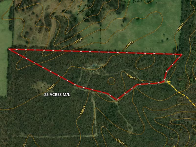Wooded Acreage for Sale in Missouri : Hartville : Texas County : Missouri
