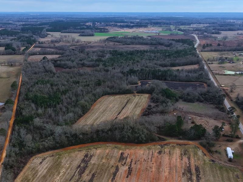 116.52 Acres in Crenshaw County, AL : Rutledge : Crenshaw County : Alabama
