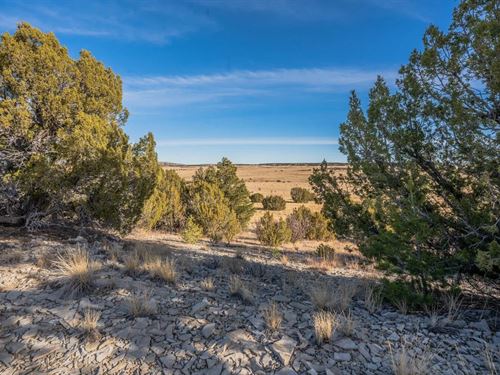 Parcel 24 Hatchet Ranch 24, Pueblo : Pueblo : Colorado