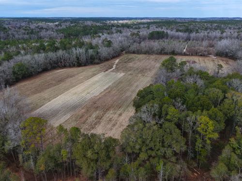 92.05 Acres in Crenshaw County, AL : Brantley : Crenshaw County : Alabama