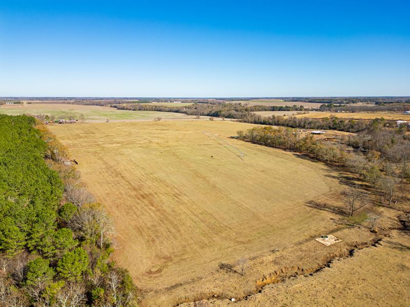 Dooly Cattle Farm : Unadilla : Dooly County : Georgia