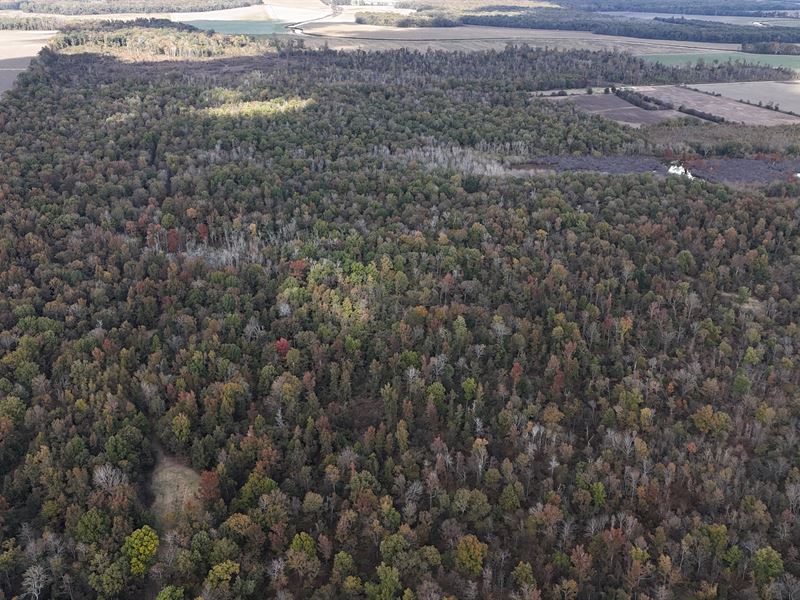 Valley Park 314, Issaquena Co : Valley Park : Issaquena County : Mississippi