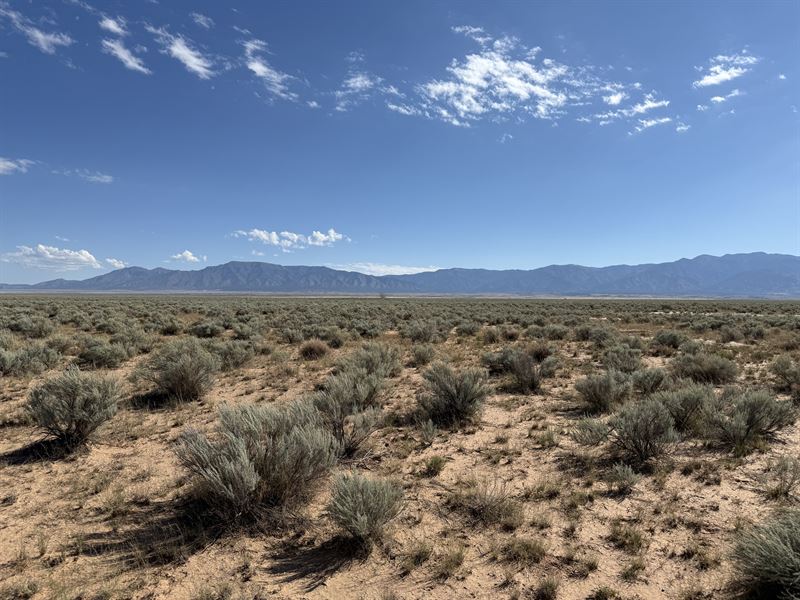 5 Acres to Build, Camp, or Hold : Los Lunas : Valencia County : New Mexico