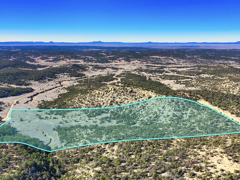 30.7 Acres with Power & Road Access : Datil : Cibola County : New Mexico