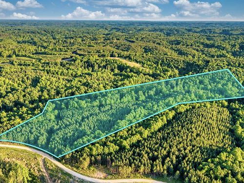 15.7 Acres, Power & Fiber Internet : Dover : Stewart County : Tennessee