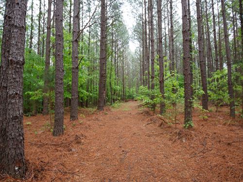 $999 Down Benton County Land : Holladay : Benton County : Tennessee