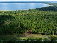 Old Cypress Farms Lot 1 : Starke : Bradford County : Florida