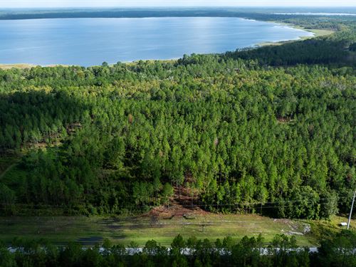 Old Cypress Farms Lot 1 : Starke : Bradford County : Florida