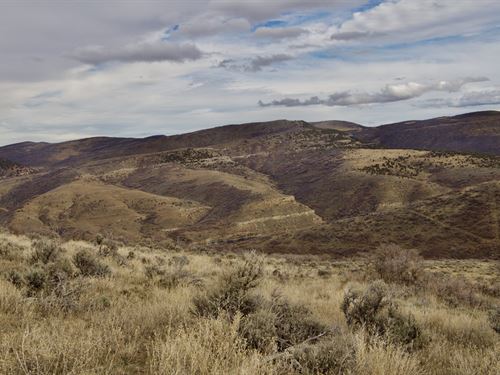 Hamilton Hunt Camp : Hamilton : Moffat County : Colorado