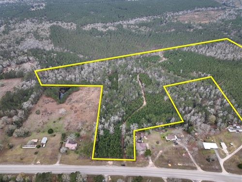 53 Acres, T-3, Highway 87, 00875 : Newton : Texas