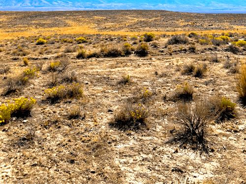 10 Acr Blm Land, Big Nevada Freedom : Deeth : Elko County : Nevada