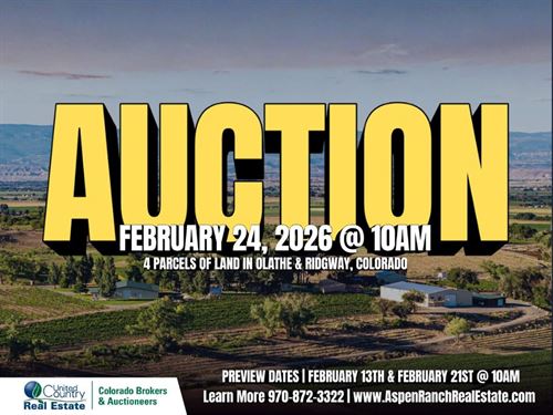 Auction, Olathe Irrigated Farm Lan : Olathe : Montrose County : Colorado