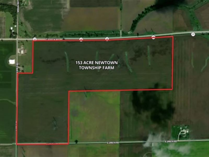 153 Acre Livingston County Newtown : Cornell : Livingston County : Illinois